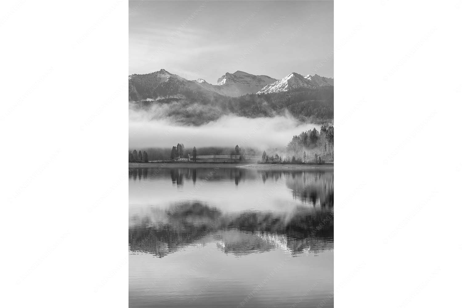 Wie verzaubert liegt die Halbinsel Zwergern im Walchensee mit Soiernblick