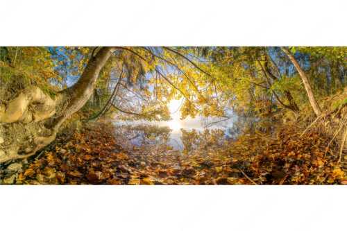 Buntes Laub verzaubert den Morgen am Barmsee wärend sich das Karwendel noch in Nebel hüllt - Herbst im Dschungel - Seitenverhältnis 2,5:1 - Herbststimmung am Barmsee - weitere Infos unter https://www.kriner-weiermann.de
