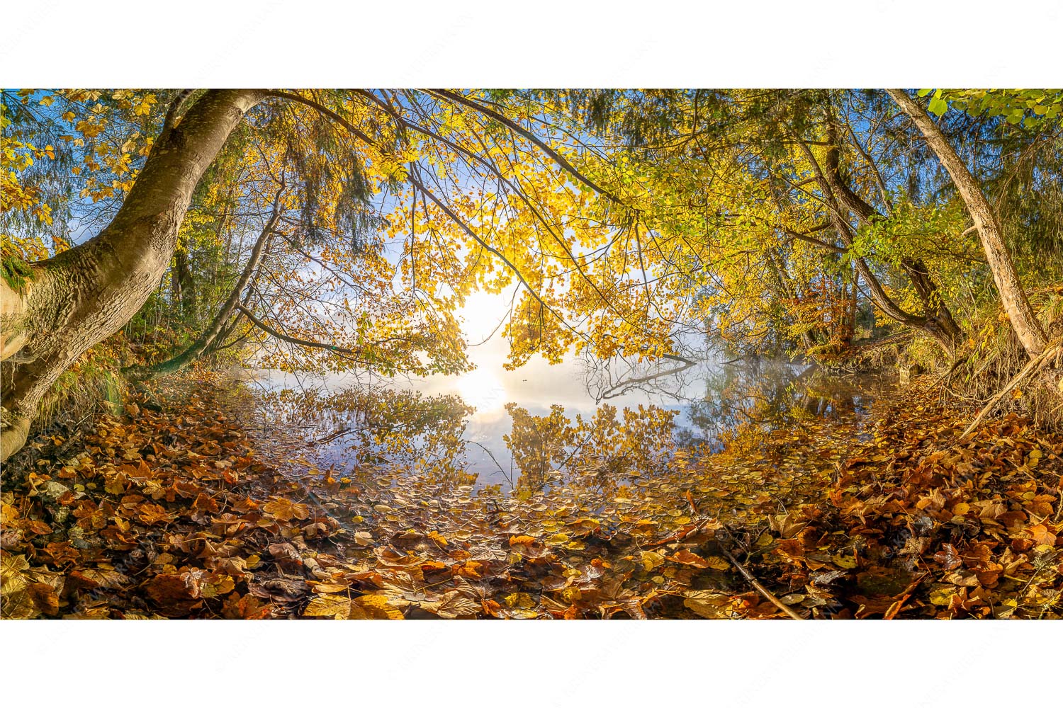 Herbst im Dschungel – Seitenverhältnis 2:1 — Herbststimmung am Barmsee Buntes Laub verzaubert den Morgen am Barmsee wärend sich das Karwendel noch in Nebel hüllt