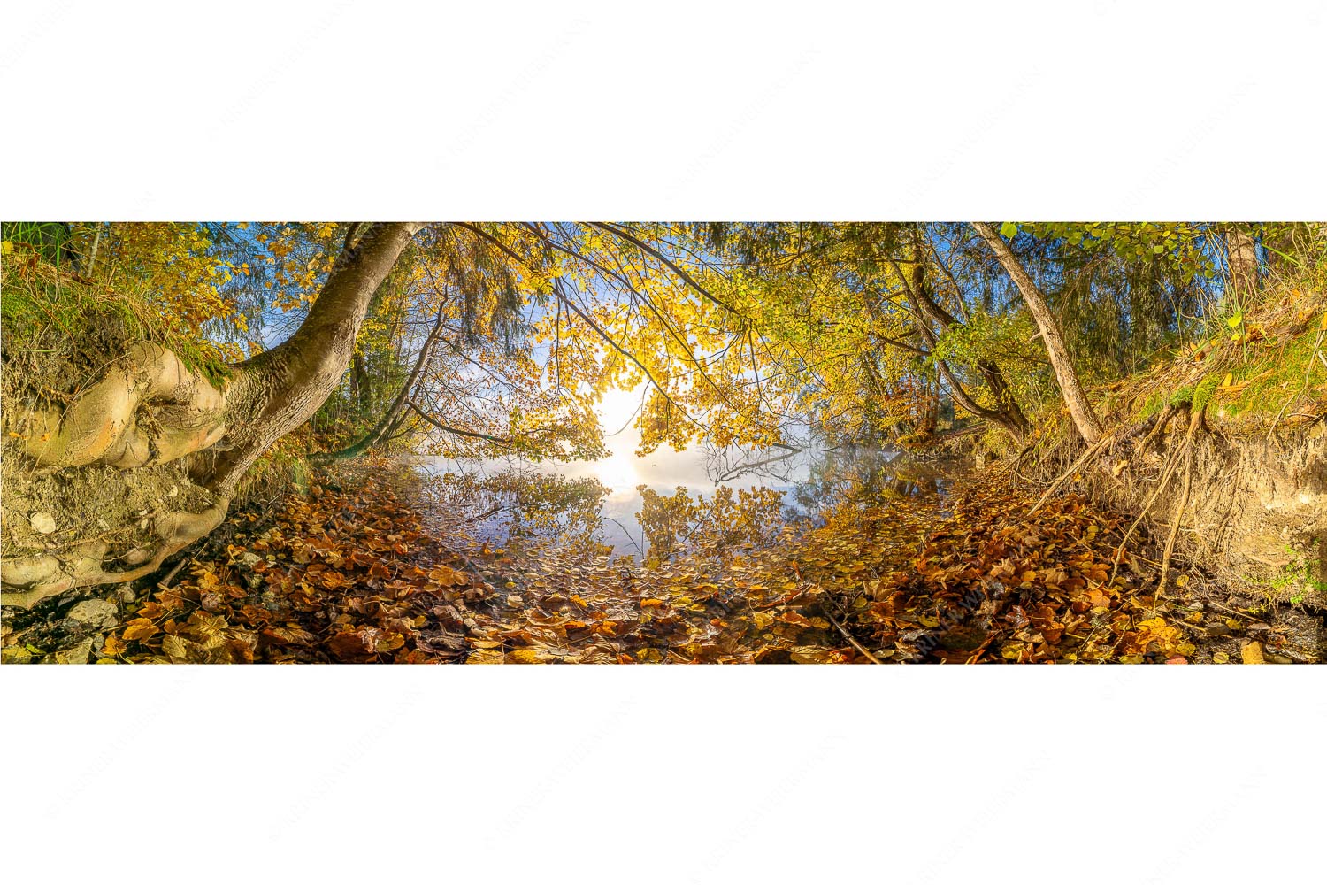 Herbst im Dschungel – Seitenverhältnis 3:1 — Herbststimmung am Barmsee Buntes Laub verzaubert den Morgen am Barmsee wärend sich das Karwendel noch in Nebel hüllt