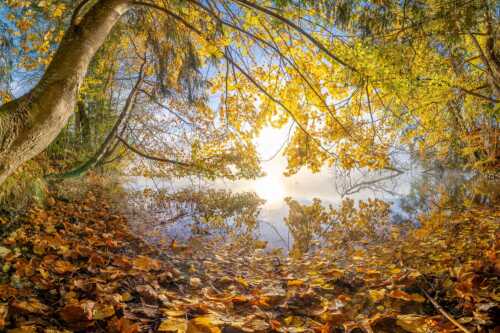 Buntes Laub verzaubert den Morgen am Barmsee wärend sich das Karwendel noch in Nebel hüllt - Herbst im Dschungel - Seitenverhältnis 3:2 - Herbststimmung am Barmsee - weitere Infos unter https://www.kriner-weiermann.de