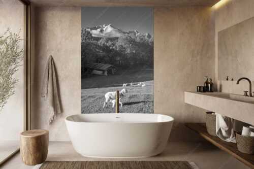 Bergschafe an der Pfeifferalm mit Zugspitzmassiv im Hintergrund - Herbstliche Schafweiden - Größe ca. 160x240cm, Seitenverhältnis 2:3 - Schafe mit Alpspitze - weitere Infos unter https://www.kriner-weiermann.de