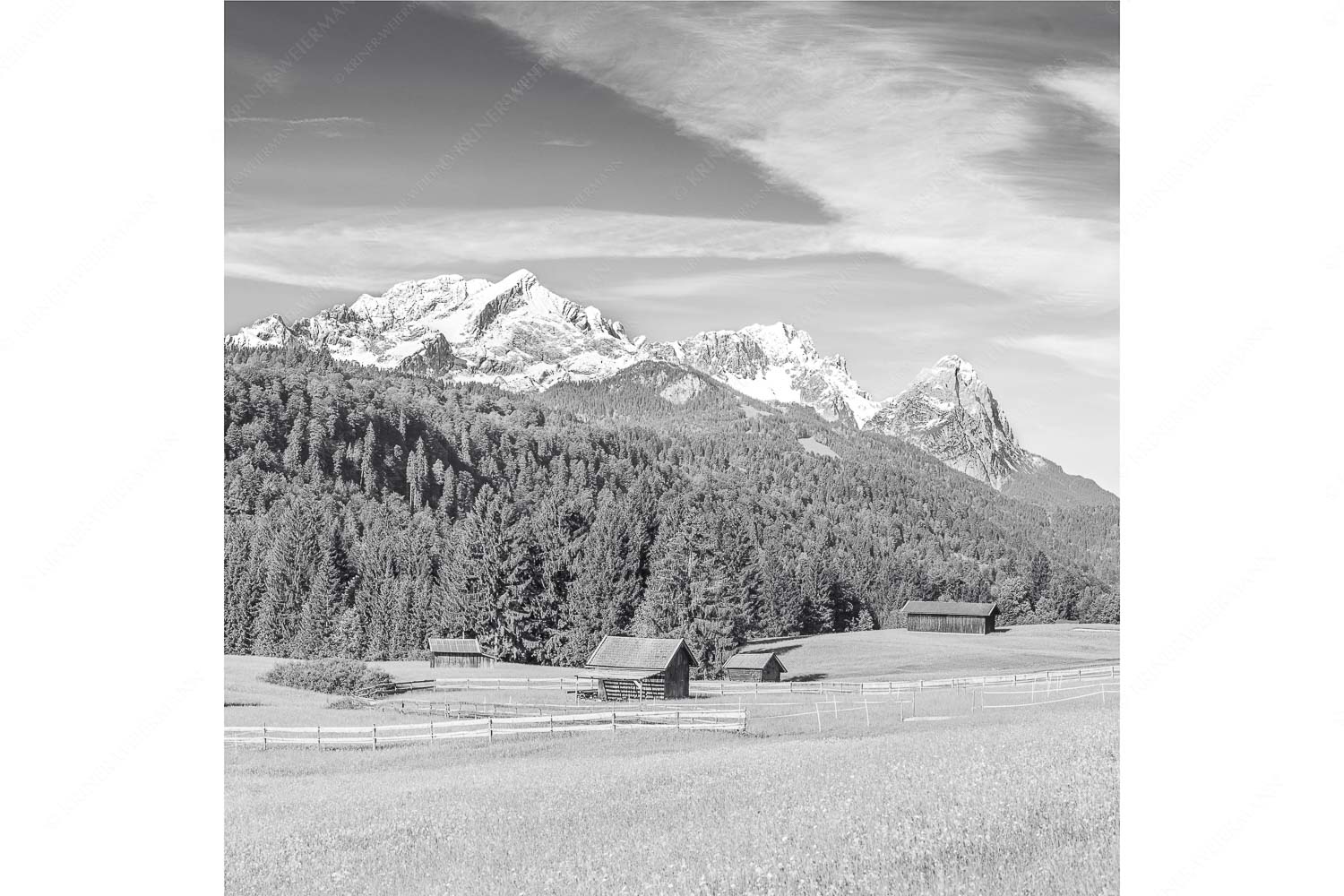 Typische Werdenfelser Landschaft mit Wiesen und Heustadeln und dem Blick zum Zugspitzmassiv