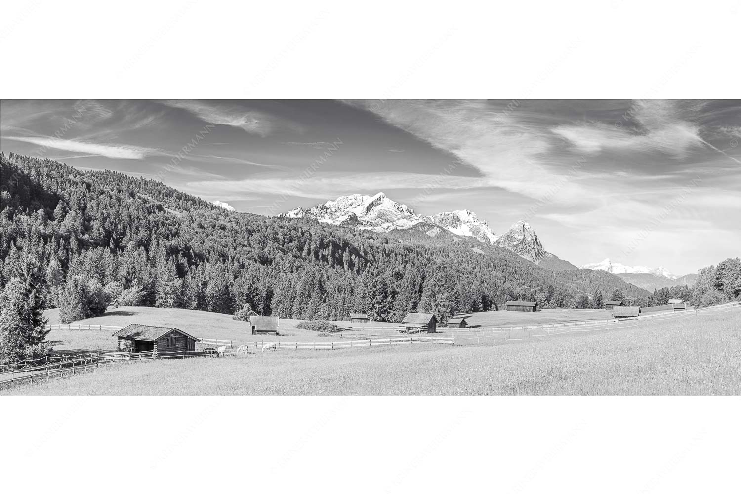 Typische Werdenfelser Landschaft mit Wiesen und Heustadeln und dem Blick zum Zugspitzmassiv
