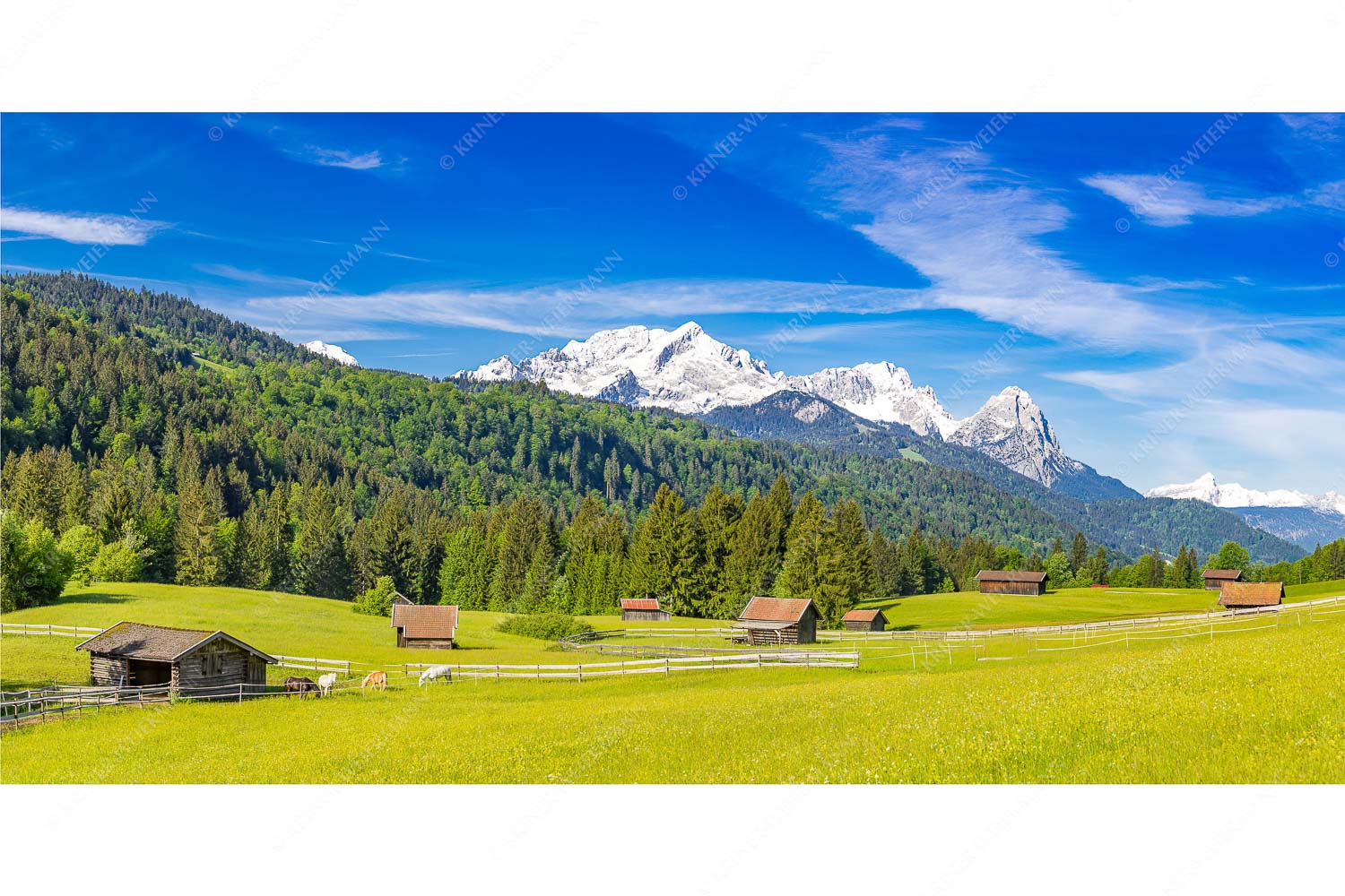 Typische Werdenfelser Landschaft mit Wiesen und Heustadeln und dem Blick zum Zugspitzmassiv