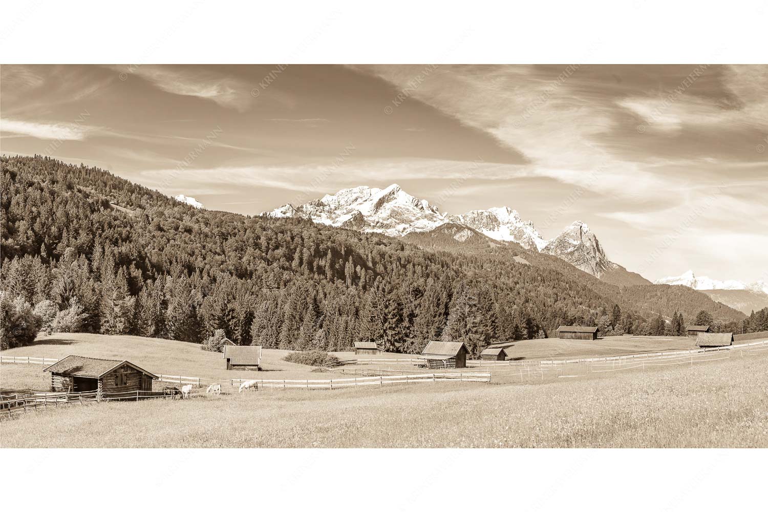 Typische Werdenfelser Landschaft mit Wiesen und Heustadeln und dem Blick zum Zugspitzmassiv