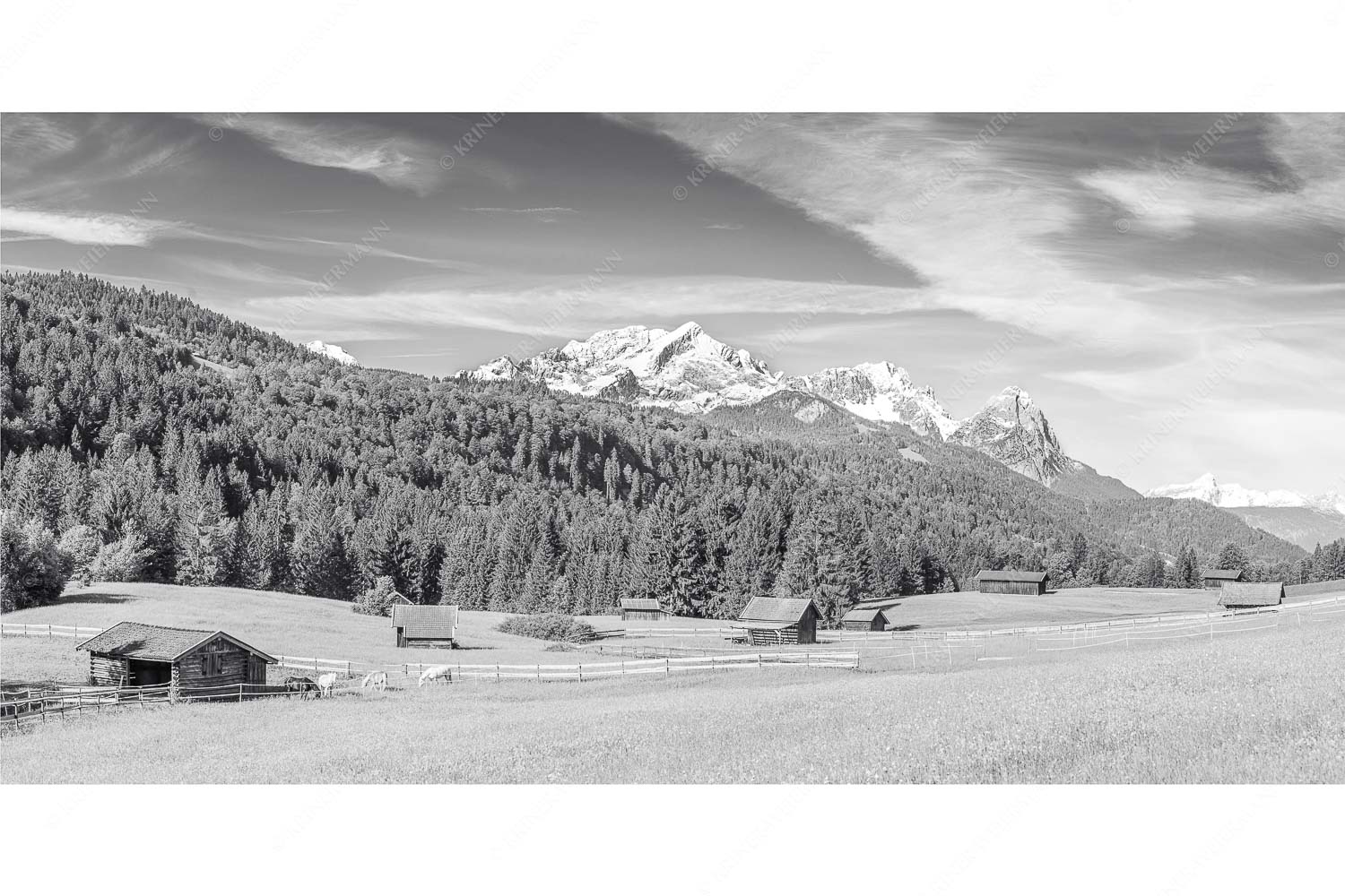 Typische Werdenfelser Landschaft mit Wiesen und Heustadeln und dem Blick zum Zugspitzmassiv