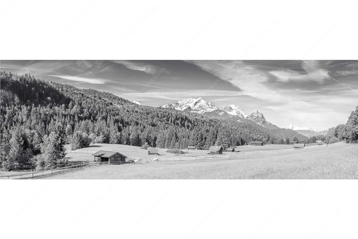 Typische Werdenfelser Landschaft mit Wiesen und Heustadeln und dem Blick zum Zugspitzmassiv