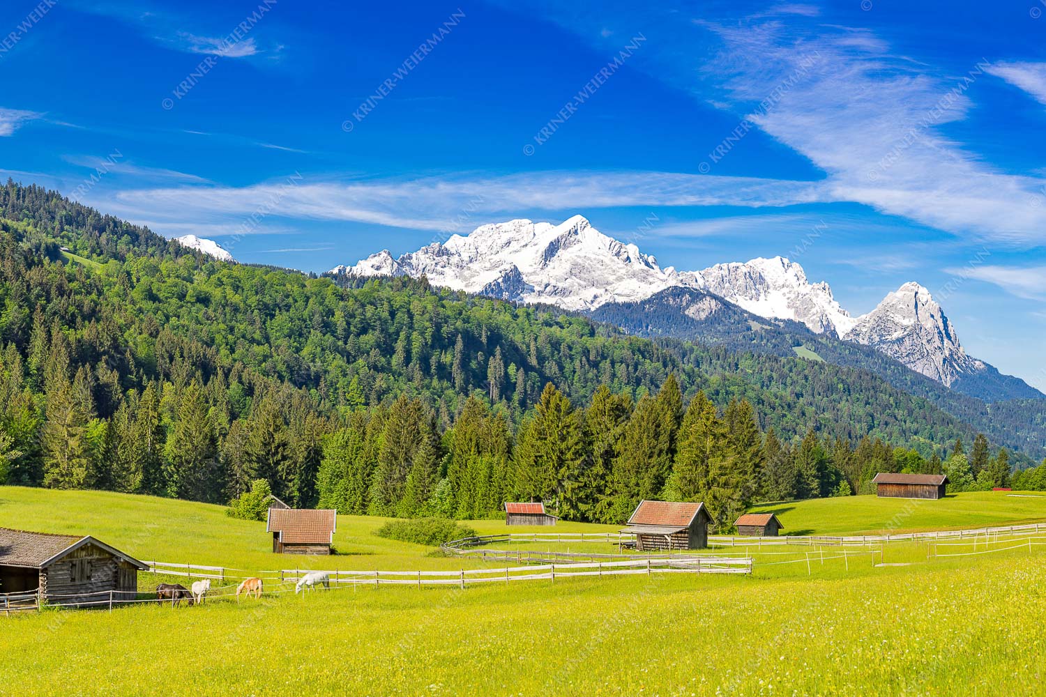Typische Werdenfelser Landschaft mit Wiesen und Heustadeln und dem Blick zum Zugspitzmassiv
