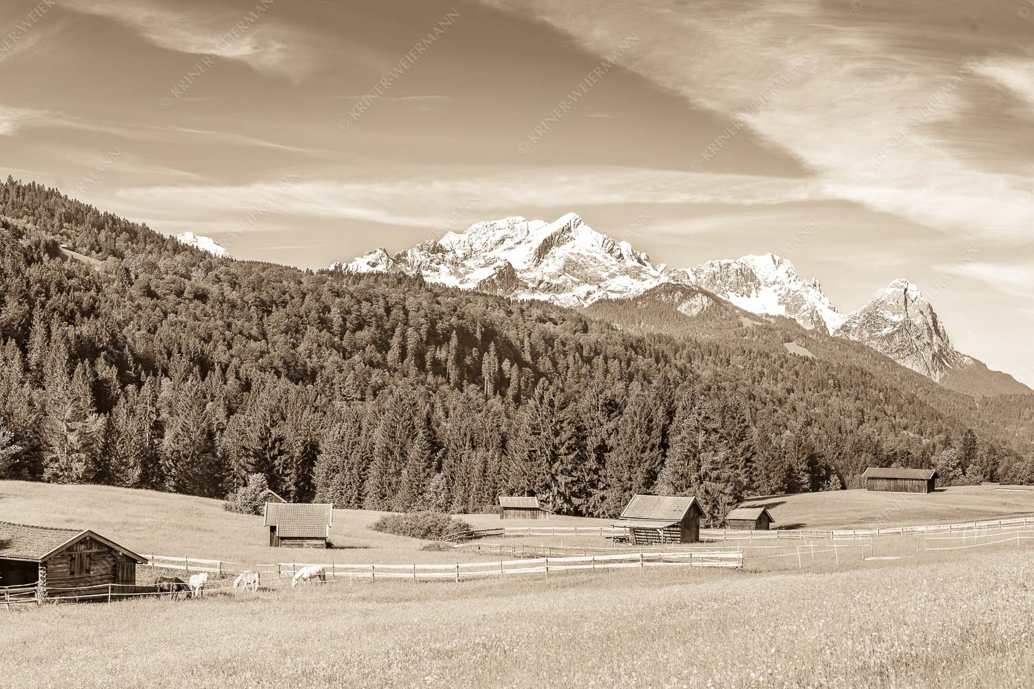 Typische Werdenfelser Landschaft mit Wiesen und Heustadeln und dem Blick zum Zugspitzmassiv