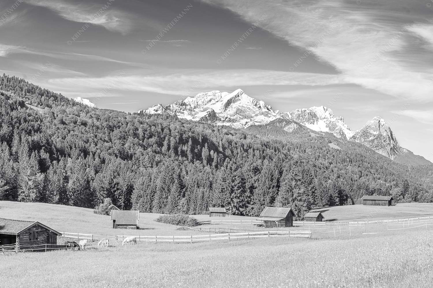 Typische Werdenfelser Landschaft mit Wiesen und Heustadeln und dem Blick zum Zugspitzmassiv