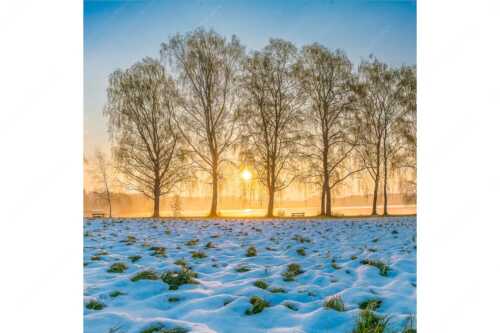 Blick über den Staffelsee in Uffing in den Sonnenaufgang - In der Früh - Seitenverhältnis 1:1 - Uffing am Staffelsee - weitere Infos unter https://www.kriner-weiermann.de