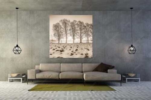 Blick über den Staffelsee in Uffing in den Sonnenaufgang - In der Früh - Größe ca. 160x160cm, Seitenverhältnis 1:1 - Uffing am Staffelsee - weitere Infos unter https://www.kriner-weiermann.de