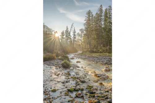 Die Nebelstimmung mit den ersten Sonnenstrahlen verleihen einen ganz besonderen Flair - Isarursprung I - Seitenverhältnis 2:3 - Isarquelle im Karwendelgebirge - weitere Infos unter https://www.kriner-weiermann.de