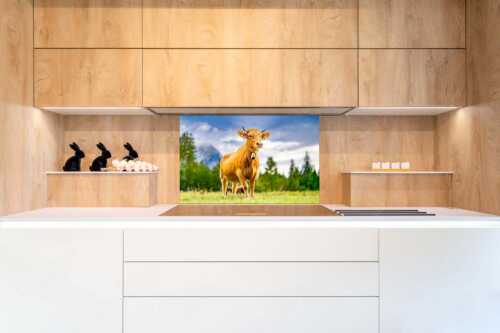 Stolzes Murnau Werdenfelser Rind auf der Sommerweide bei Krün - Junger Werdenfelser III - Größe ca. 90x60cm, Seitenverhältnis 3:2 - Murnau Werdenfelser Rind - weitere Infos unter https://www.kriner-weiermann.de