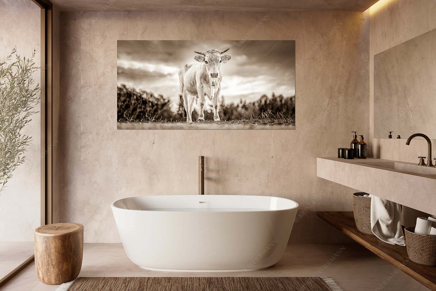 Junger Werdenfelser – Größe ca. 180x90cm, Seitenverhältnis 2: — Murnau Werdenfelser Rind Junges Murnau Werdenfelser Rind auf der Sommerweide bei Krün - Junger Werdenfelser - Größe ca. 180x90cm, Seitenverhältnis 2: - Murnau Werdenfelser Rind - weitere Infos unter https://www.kriner-weiermann.de