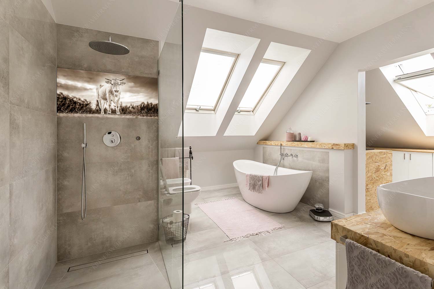 Junger Werdenfelser – Größe ca. 100x50cm, Seitenverhältnis 2: — Murnau Werdenfelser Rind Junges Murnau Werdenfelser Rind auf der Sommerweide bei Krün - Junger Werdenfelser - Größe ca. 100x50cm, Seitenverhältnis 2: - Murnau Werdenfelser Rind - weitere Infos unter https://www.kriner-weiermann.de