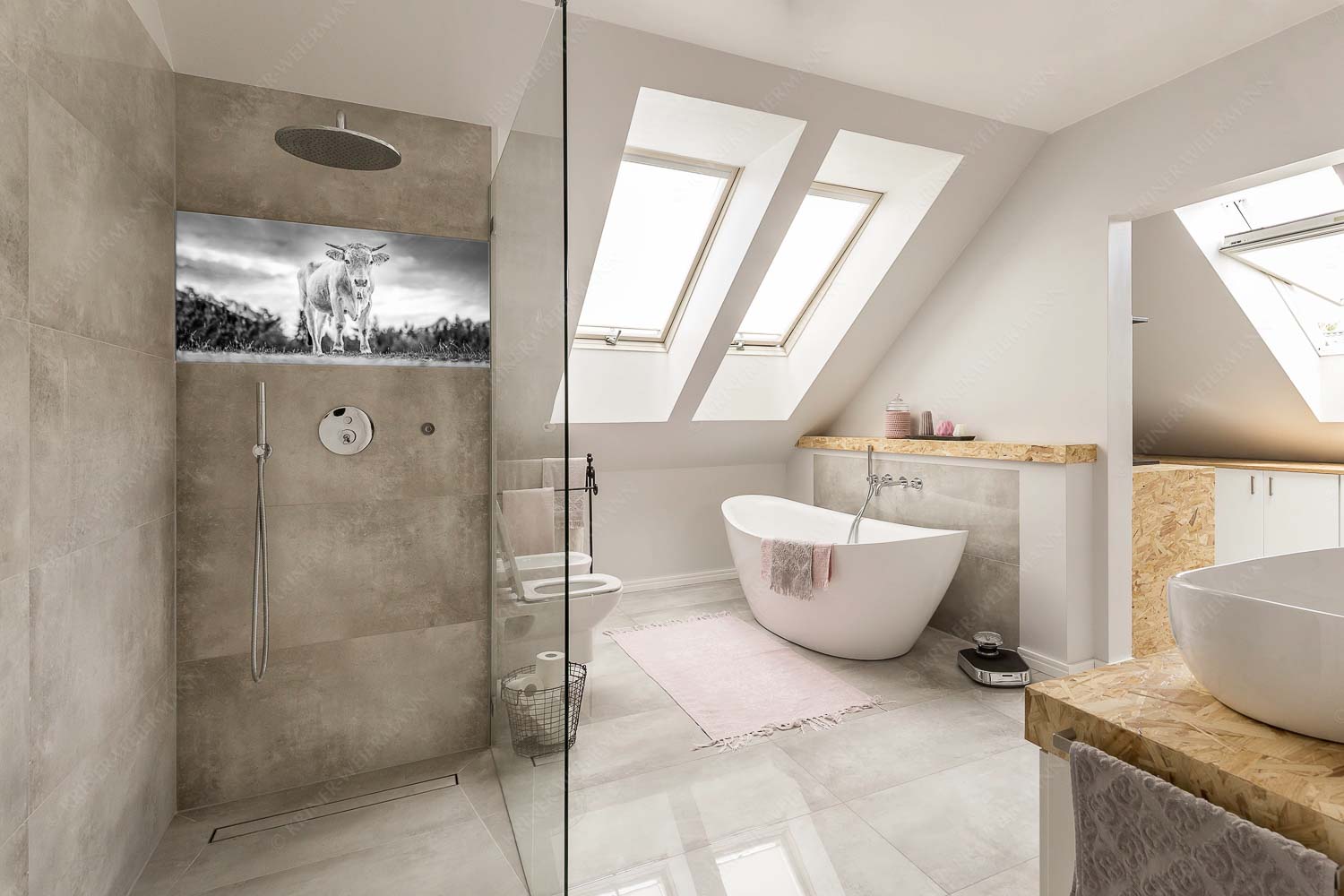 Junger Werdenfelser – Größe ca. 100x50cm, Seitenverhältnis 2: — Murnau Werdenfelser Rind Junges Murnau Werdenfelser Rind auf der Sommerweide bei Krün - Junger Werdenfelser - Größe ca. 100x50cm, Seitenverhältnis 2: - Murnau Werdenfelser Rind - weitere Infos unter https://www.kriner-weiermann.de