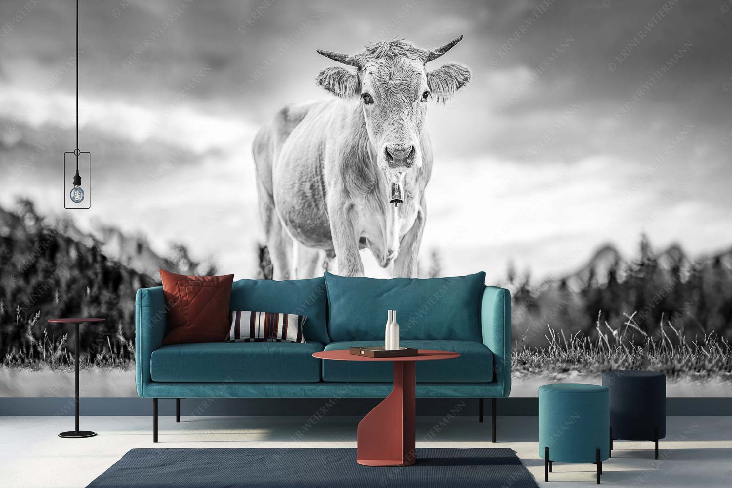 Junger Werdenfelser – Größe ca. 400x200cm, Seitenverhältnis 2:1 — Murnau Werdenfelser Rind Junges Murnau Werdenfelser Rind auf der Sommerweide bei Krün - Junger Werdenfelser - Größe ca. 400x200cm, Seitenverhältnis 2:1 - Murnau Werdenfelser Rind - weitere Infos unter https://www.kriner-weiermann.de