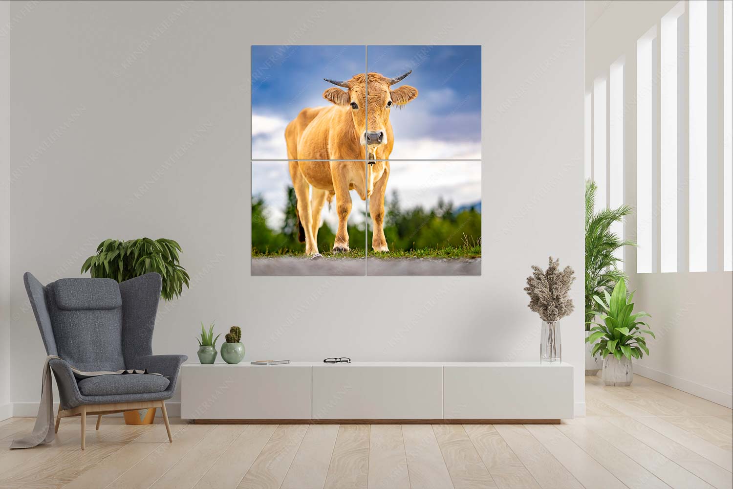 Junger Werdenfelser – 4er Split, Größe ca. 180x180cm, Seitenverhältnis 1:1 — Murnau Werdenfelser Rind Junges Murnau Werdenfelser Rind auf der Sommerweide bei Krün - Junger Werdenfelser - 4er Split, Größe ca. 180x180cm, Seitenverhältnis 1:1 - Murnau Werdenfelser Rind - weitere Infos unter https://www.kriner-weiermann.de