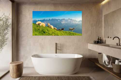 Bergschafe auf dem Schafreiter mit Blick zum Karwendelhauptkamm - Karwendelprominenz II - Größe ca. 180x90cm, Seitenverhältnis 2:1 - Schafe im Karwendel - weitere Infos unter https://www.kriner-weiermann.de