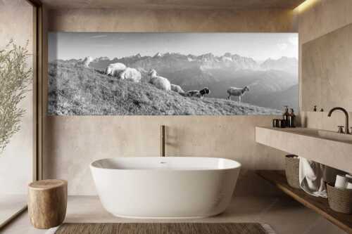 Bergschafe auf dem Schafreiter mit Blick zum Karwendelhauptkamm - Karwendelprominenz II - Größe ca. 300x100cm, Seitenverhältnis 3:1 - Schafe im Karwendel - weitere Infos unter https://www.kriner-weiermann.de