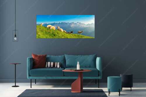 Bergschafe auf dem Schafreiter mit Blick zum Karwendelhauptkamm - Karwendelprominenz II - Größe ca. 175x70cm, Seitenverhältnis 2,5:1 - Schafe im Karwendel - weitere Infos unter https://www.kriner-weiermann.de