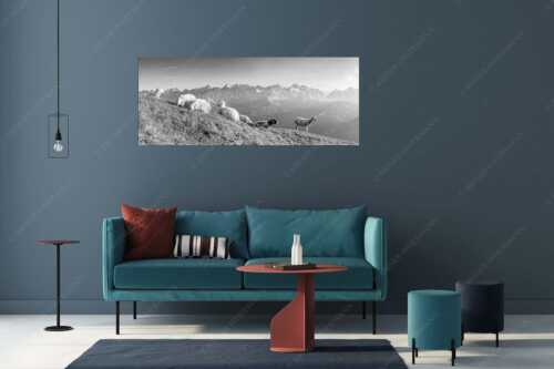 Bergschafe auf dem Schafreiter mit Blick zum Karwendelhauptkamm - Karwendelprominenz II - Größe ca. 175x70cm, Seitenverhältnis 2,5:1 - Schafe im Karwendel - weitere Infos unter https://www.kriner-weiermann.de