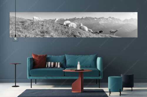 Bergschafe auf dem Schafreiter mit Blick zum Karwendelhauptkamm - Karwendelprominenz II - Größe ca. 350x70cm, Seitenverhältnis 5:1 - Schafe im Karwendel - weitere Infos unter https://www.kriner-weiermann.de