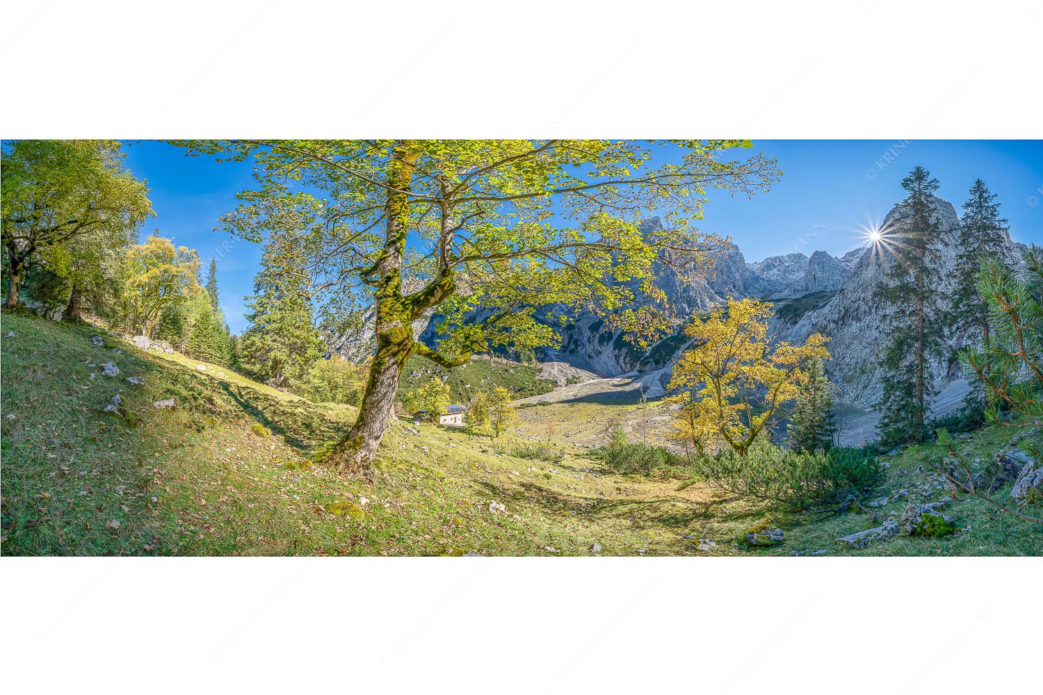 Keiner mehr da! – Seitenverhältnis 2,5:1 — Herbst Ahorn mit Oberreintalhütte Letzte Sonne im Oberreintal im Wetterstein