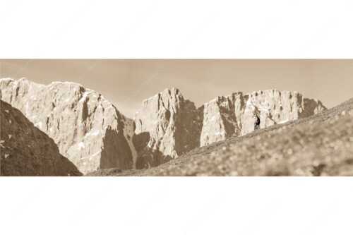 Gams auf Frühlingswiese mit Dreizinkenspitze im Karwendelgebirge - Kimmbebba - Seitenverhältnis 3:1 - Gams im Karwendel - weitere Infos unter https://www.kriner-weiermann.de