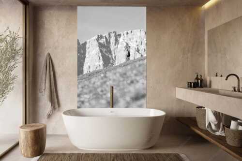 Gams auf Frühlingswiese mit Dreizinkenspitze im Karwendelgebirge - Kimmbebba - Größe ca. 160x240cm, Seitenverhältnis 2:3 - Gams im Karwendel - weitere Infos unter https://www.kriner-weiermann.de