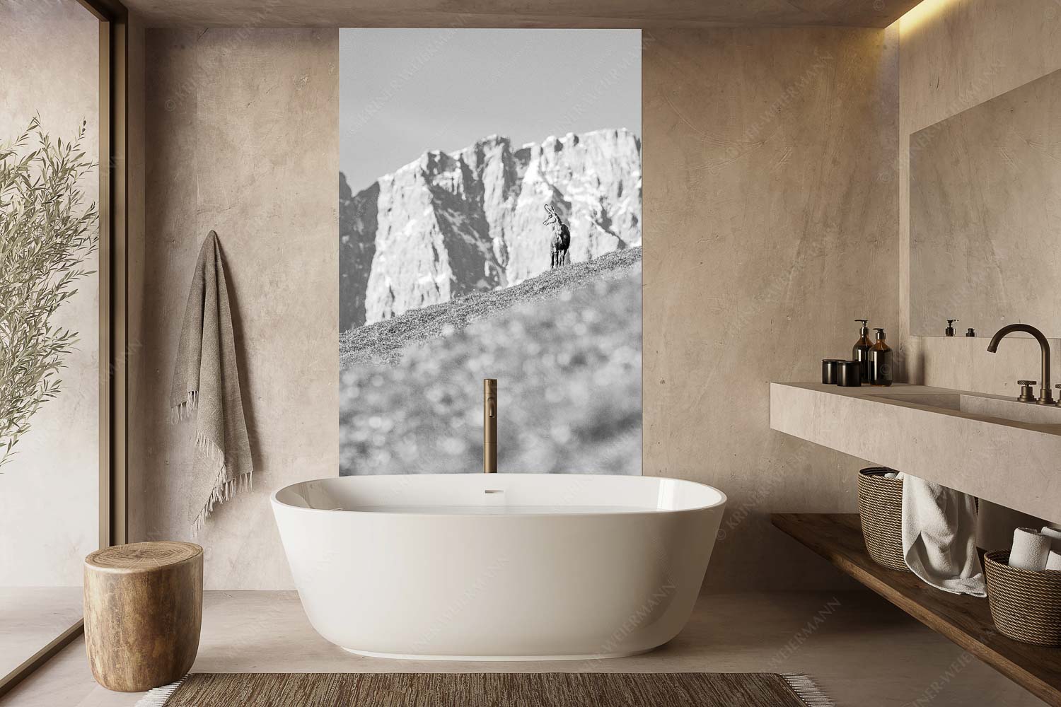 Gams auf Frühlingswiese mit Dreizinkenspitze im Karwendelgebirge - Kimmbebba - Größe ca. 160x240cm, Seitenverhältnis 2:3 - Gams im Karwendel - weitere Infos unter https://www.kriner-weiermann.de