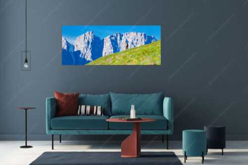 Gams auf Frühlingswiese mit Dreizinkenspitze im Karwendelgebirge - Kimmbebba - Größe ca. 175x70cm, Seitenverhältnis 2,5:1 - Gams im Karwendel - weitere Infos unter https://www.kriner-weiermann.de