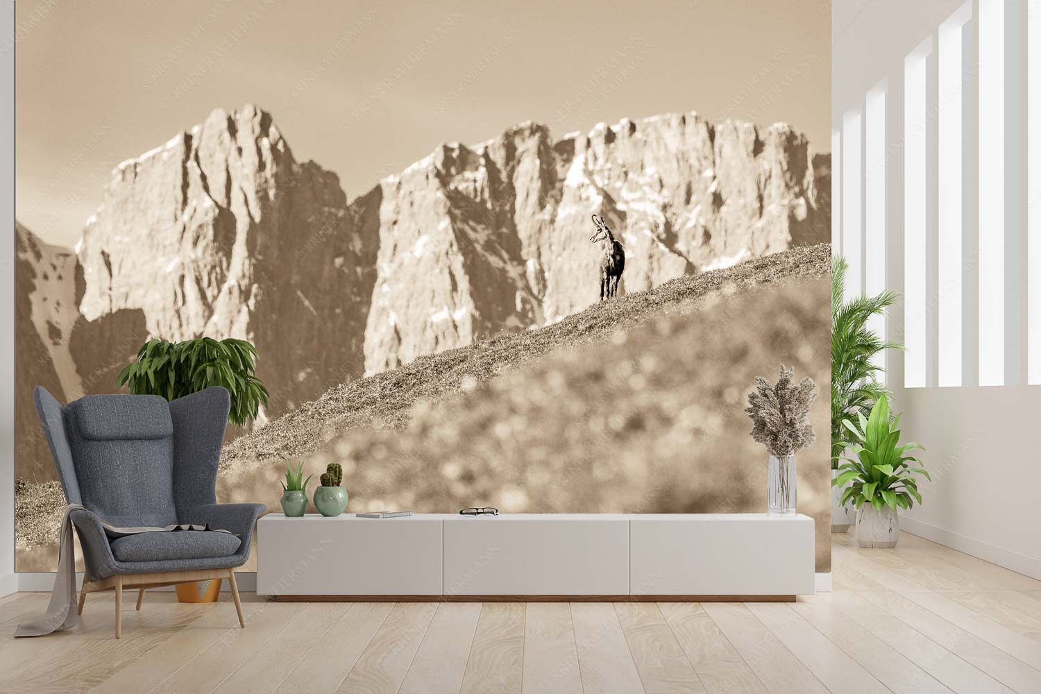 Kimmbebba – Größe ca. 300x200cm, Seitenverhältnis 3:2 — Gams im Karwendel Gams auf Frühlingswiese mit Dreizinkenspitze im Karwendelgebirge - Kimmbebba - Größe ca. 300x200cm, Seitenverhältnis 3:2 - Gams im Karwendel - weitere Infos unter https://www.kriner-weiermann.de
