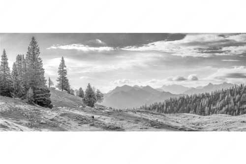 Bergschafe mit Blick von der Kuhalm zum Soierngebirge - Kuhalmschaflan - Seitenverhältnis 2,5:1 - Schafe auf der Kuhalm im Estergebirge - weitere Infos unter https://www.kriner-weiermann.de