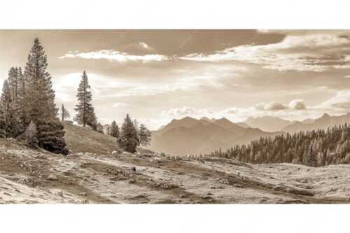 Bergschafe mit Blick von der Kuhalm zum Soierngebirge - Kuhalmschaflan - Seitenverhältnis 2:1 - Schafe auf der Kuhalm im Estergebirge - weitere Infos unter https://www.kriner-weiermann.de