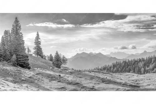 Bergschafe mit Blick von der Kuhalm zum Soierngebirge - Kuhalmschaflan - Seitenverhältnis 2:1 - Schafe auf der Kuhalm im Estergebirge - weitere Infos unter https://www.kriner-weiermann.de