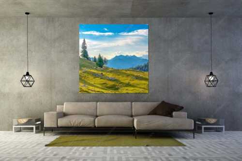 Bergschafe mit Blick von der Kuhalm zum Soierngebirge - Kuhalmschaflan - Größe ca. 160x160cm, Seitenverhältnis 1:1 - Schafe auf der Kuhalm im Estergebirge - weitere Infos unter https://www.kriner-weiermann.de