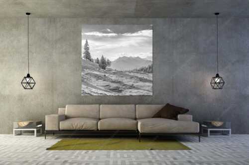 Bergschafe mit Blick von der Kuhalm zum Soierngebirge - Kuhalmschaflan - Größe ca. 160x160cm, Seitenverhältnis 1:1 - Schafe auf der Kuhalm im Estergebirge - weitere Infos unter https://www.kriner-weiermann.de