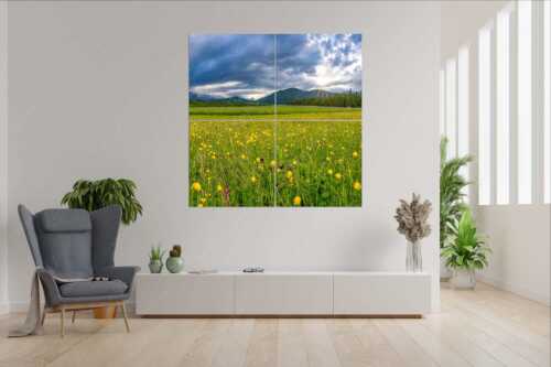 Blick über eine Blumenwiese am Barmsee bei Krün mit Wetterstein- und Estergebirge - Kurzer Lichtblick - 4er Split, Größe ca. 180x180cm, Seitenverhältnis 1:1 - Blumenwiese mit Wetterstein - weitere Infos unter https://www.kriner-weiermann.de