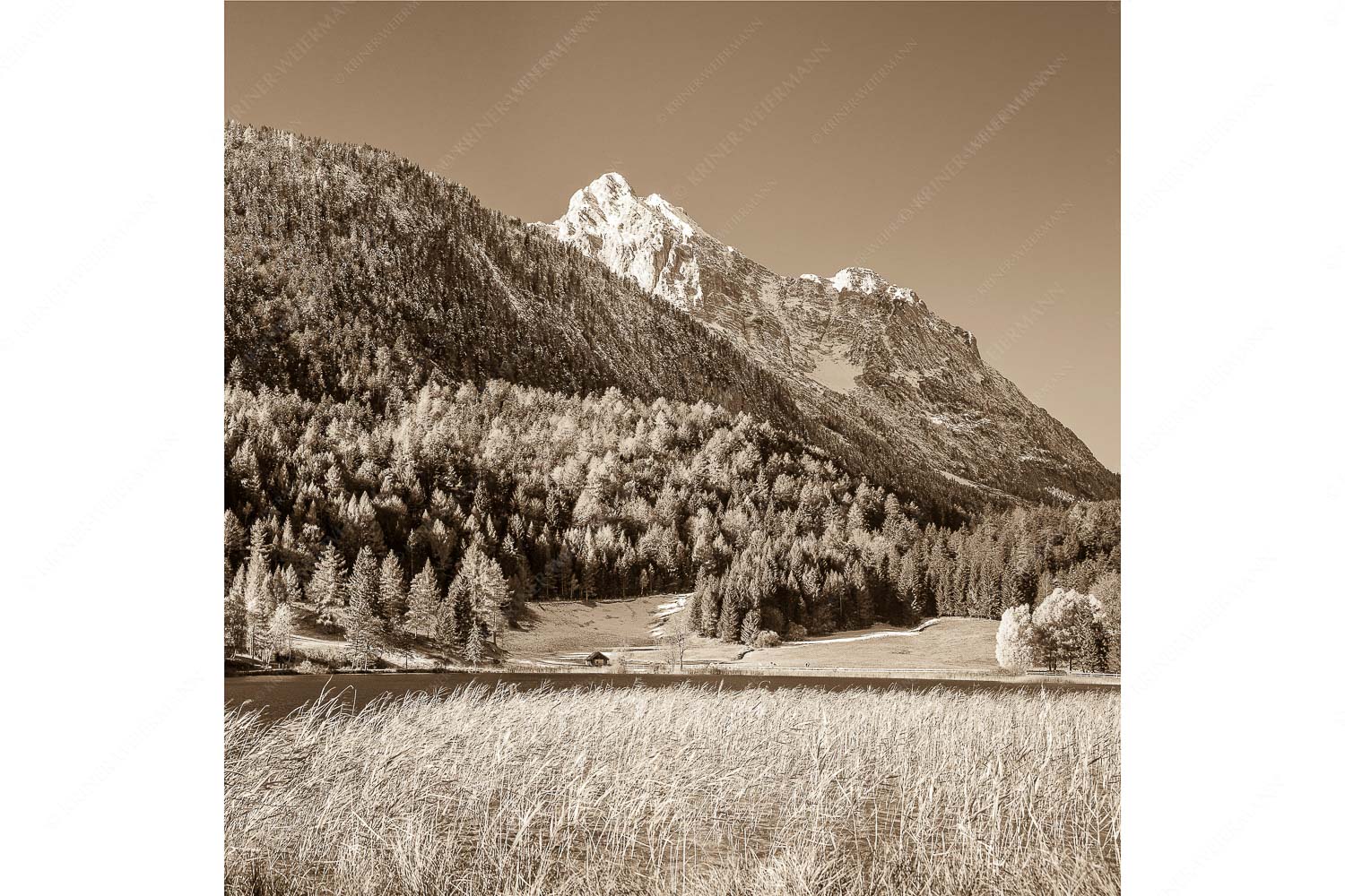 Lauterseeherbst – Seitenverhältnis 1:1 — Harbst am Lautersee mit Wetterstein Blick über den Lautersee zum Grünkopf und der Unteren Wettersteinspitze
