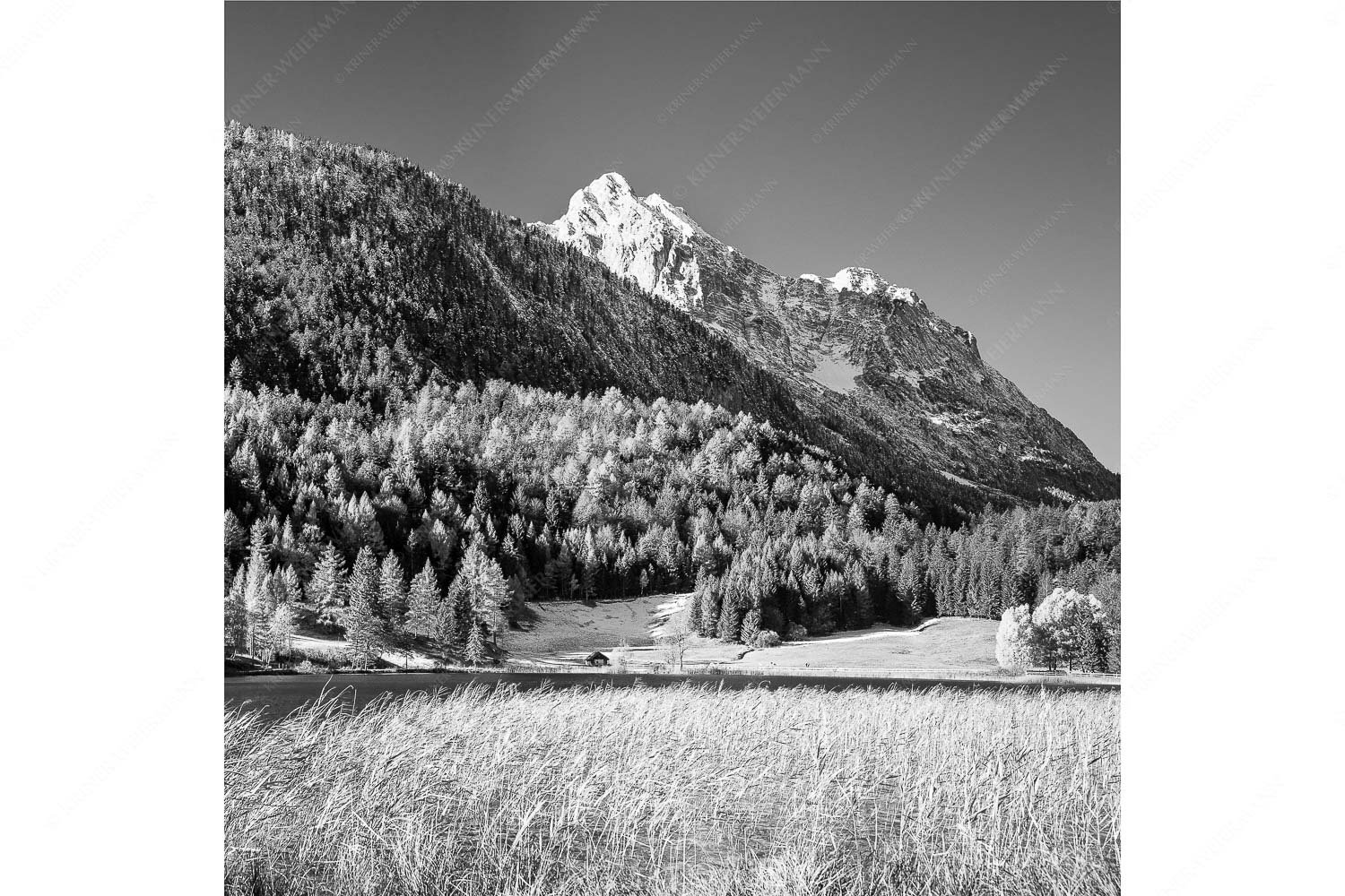 Lauterseeherbst – Seitenverhältnis 1:1 — Harbst am Lautersee mit Wetterstein Blick über den Lautersee zum Grünkopf und der Unteren Wettersteinspitze