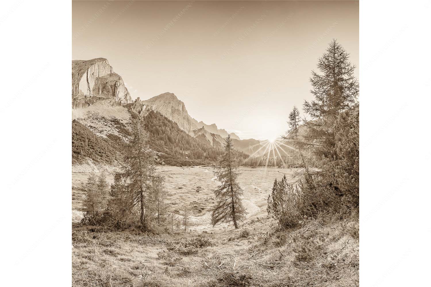 Blick zur Speckkarspitze und über den Halleranger im Karwendelgebirge