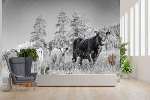Jungvieh in Leutasch mit Wetterstein im Hintergrund - Leutascher Weide II - Größe ca. 300x200cm, Seitenverhältnis 3:2 - Junge Kälber in Blumenwiese - weitere Infos unter https://www.kriner-weiermann.de