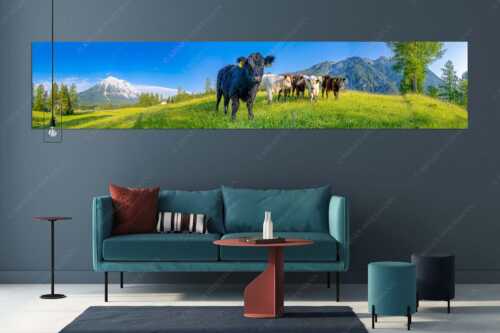 Jungvieh in Leutasch mit Hoher Munde in den Mieminger Bergen - Leutascher Weide - Größe ca. 350x70cm, Seitenverhältnis 5:1 - Junge Kälber mit Hoher Munde - weitere Infos unter https://www.kriner-weiermann.de