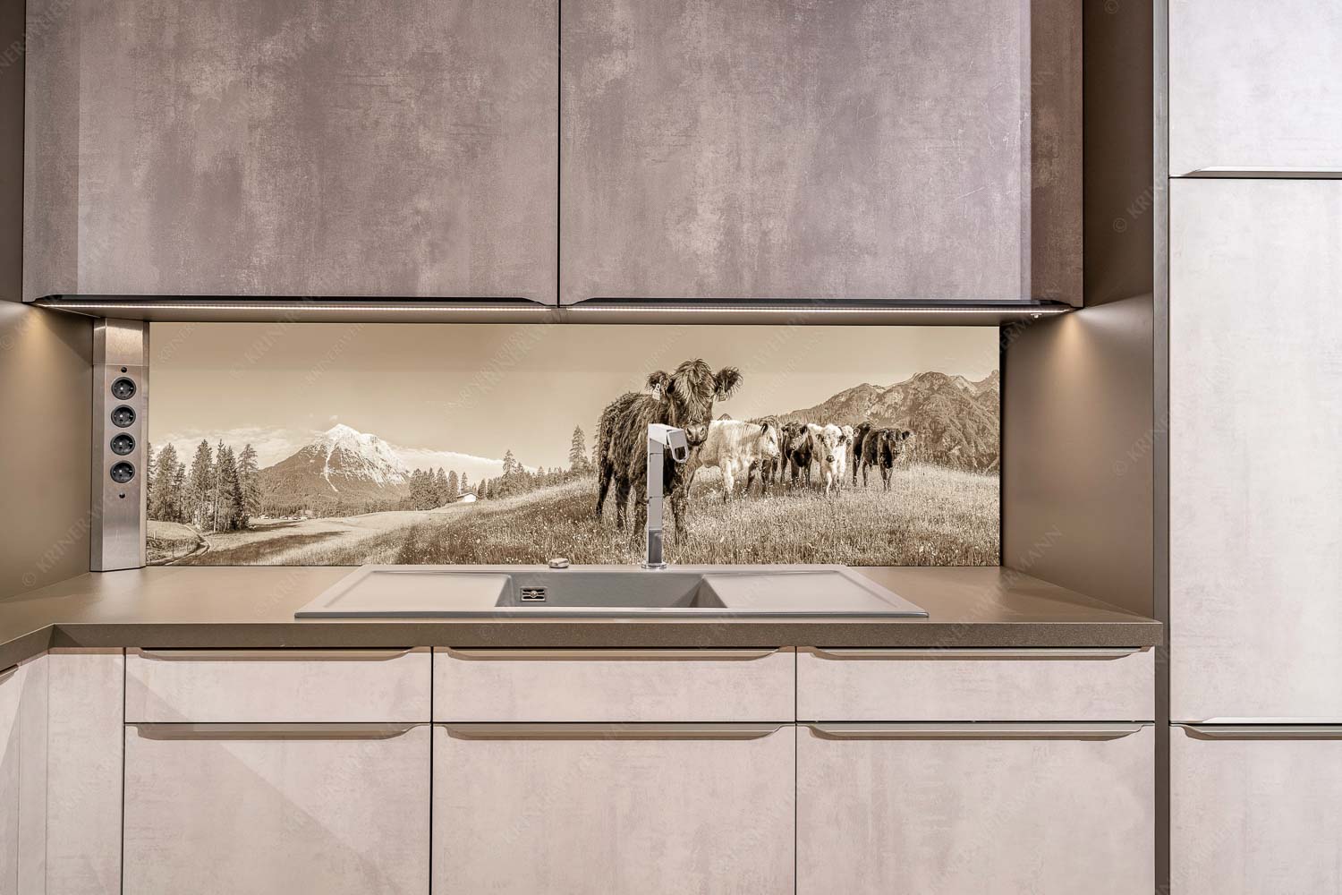 Leutascher Weide – Größe ca. 200x50cm, Seitenverhältnis ca: 4:1 — Junge Kälber mit Hoher Munde Jungvieh in Leutasch mit Hoher Munde in den Mieminger Bergen - Leutascher Weide - Größe ca. 200x50cm, Seitenverhältnis ca: 4:1 - Junge Kälber mit Hoher Munde - weitere Infos unter https://www.kriner-weiermann.de