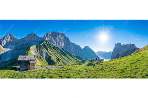 Bergschafe an der Erinnerungshütte am Scharnitzjoch im Wettersteingebirge - Malerische Sommerweide - Seitenverhältnis 2,5:1 - Schafe Erinnerungshütte Wetterstein - weitere Infos unter https://www.kriner-weiermann.de