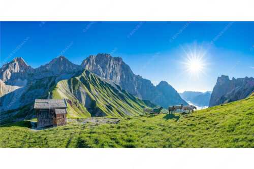 Bergschafe an der Erinnerungshütte am Scharnitzjoch im Wettersteingebirge - Malerische Sommerweide - Seitenverhältnis 2:1 - Schafe Erinnerungshütte Wetterstein - weitere Infos unter https://www.kriner-weiermann.de