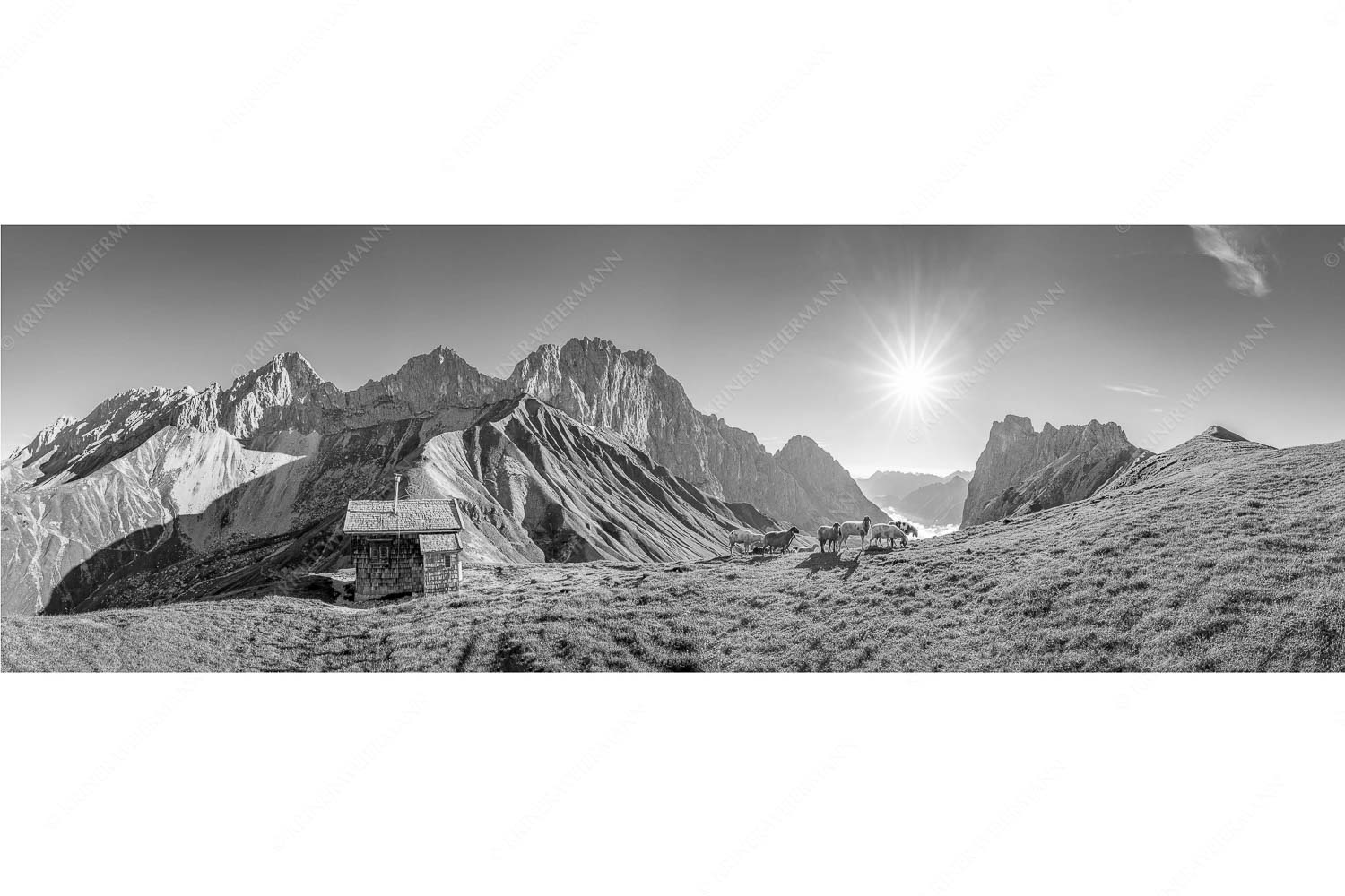 Malerische Sommerweide – Seitenverhältnis 3:1 — Schafe Erinnerungshütte Wetterstein Bergschafe an der Erinnerungshütte am Scharnitzjoch im Wettersteingebirge